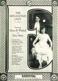 The Misleading Lady poster