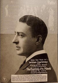 The Hunting of the Hawk poster