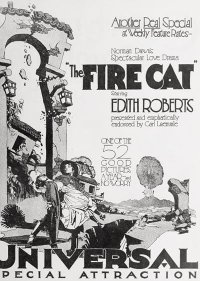 The Fire Cat poster