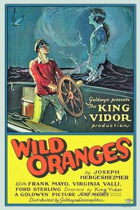Wild Oranges poster