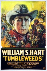 Tumbleweeds poster