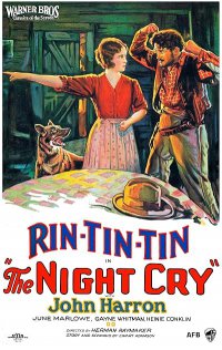 The Night Cry poster