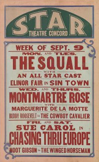 The Cowboy Cavalier poster