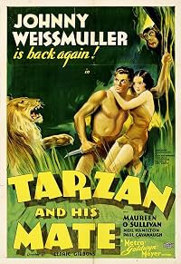 Tarzan and His Mate poster