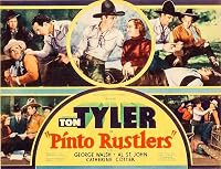 Pinto Rustlers poster