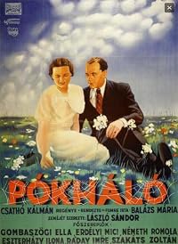 Pókháló poster