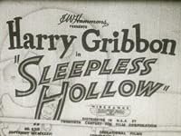 Sleepless Hollow poster