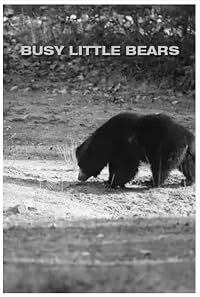 Busy Little Bears poster