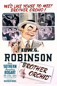 Brother Orchid poster