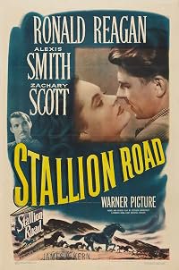 Stallion Road poster