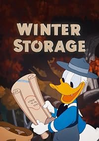 Winter Storage poster