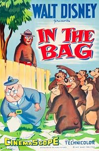 In the Bag poster