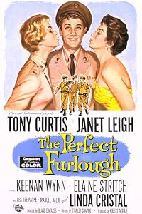 The Perfect Furlough poster