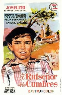 El ruiseñor de las cumbres poster