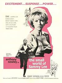 The Small World of Sammy Lee poster