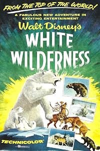White Wilderness poster