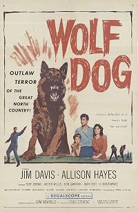 Wolf Dog poster