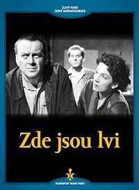 Zde jsou lvi poster