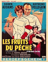 Secret professionnel poster