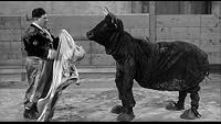 Sappy Bull Fighters poster