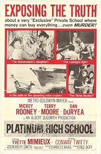 Platinum High School poster