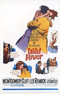 Wild River poster