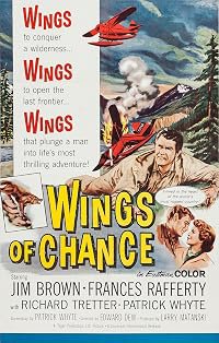 Wings of Chance poster