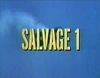 Salvage poster