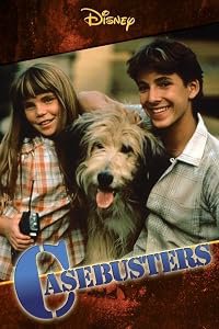 Casebusters poster
