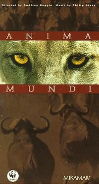 Anima Mundi poster