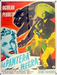 La pantera negra poster