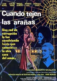 Cuando tejen las arañas poster