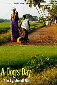 Pattiyude Divasam poster