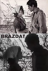 Brazdat poster