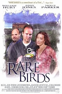 Rare Birds poster