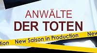 Anwälte der Toten II poster