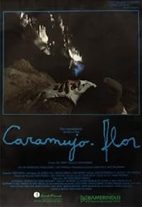 Caramujo-flor poster