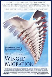 Le peuple migrateur poster