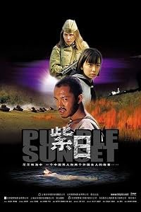 Zi ri poster