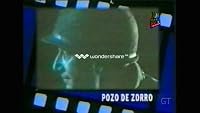 Pozo de zorro poster