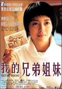 Wo de xiong di jie mei poster