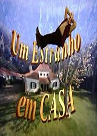 Um Estranho em Casa poster