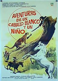 Aventuras de un caballo blanco y un niño poster