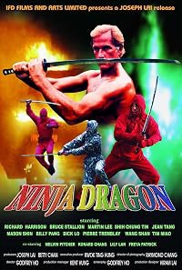 Ninja Dragon poster