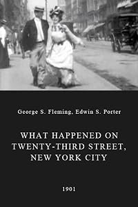 What Happened on Twenty-third Street, New York City poster