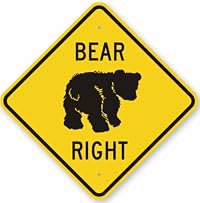 Bear to the Right poster