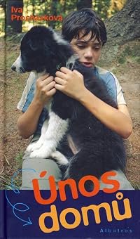Únos domú poster