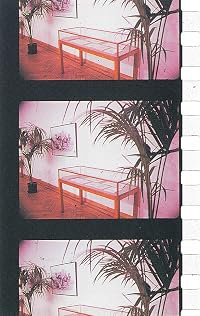 Un jardin d'hiver poster