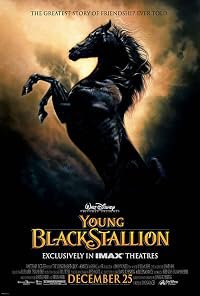Young Black Stallion poster