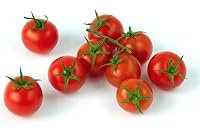 Ripe Tomatoes poster